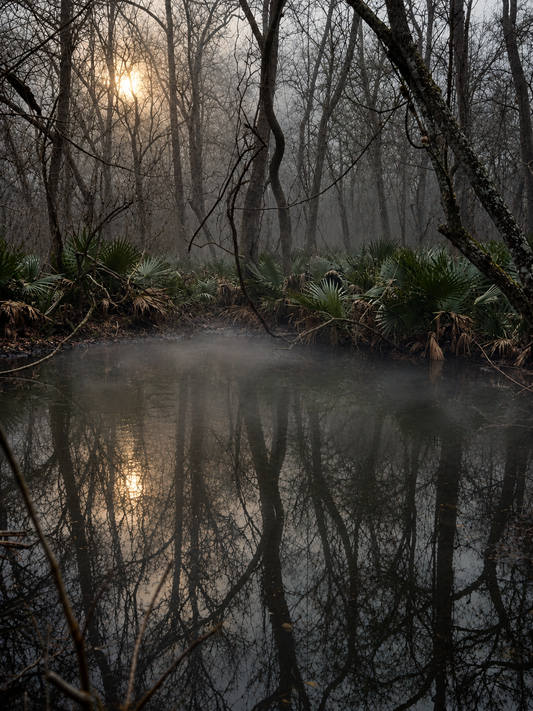 A Guide to Haunted Wild Texas